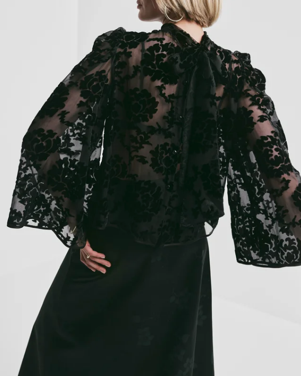 Velvet Blouse