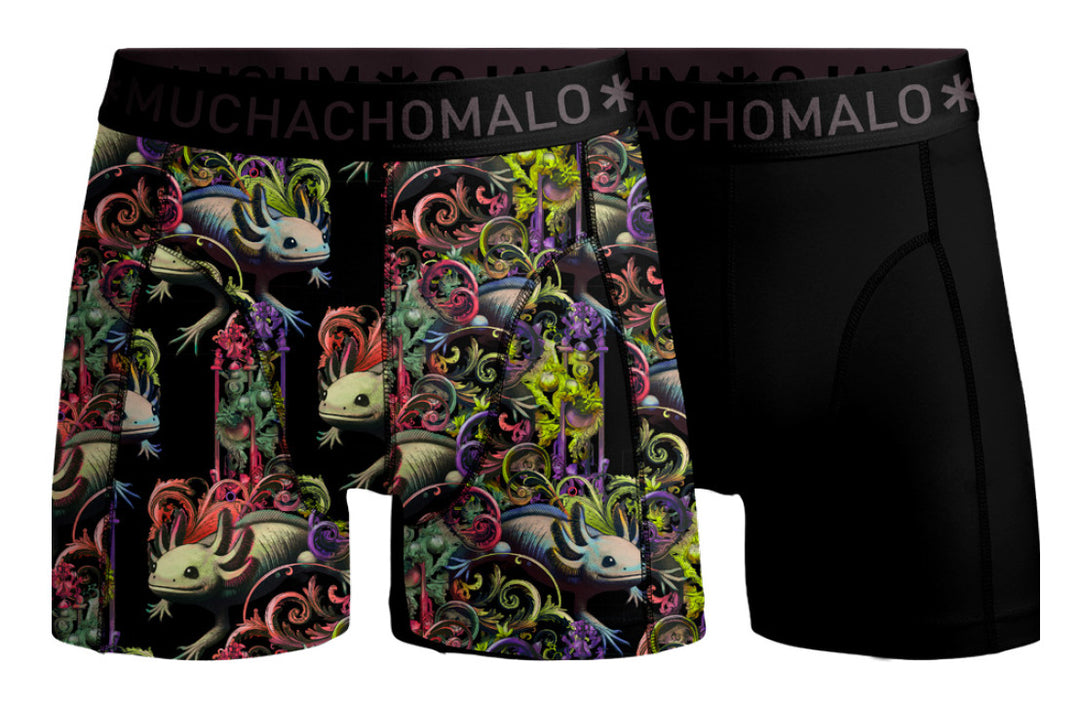 Axolotl 01 2pk Boxer C/m