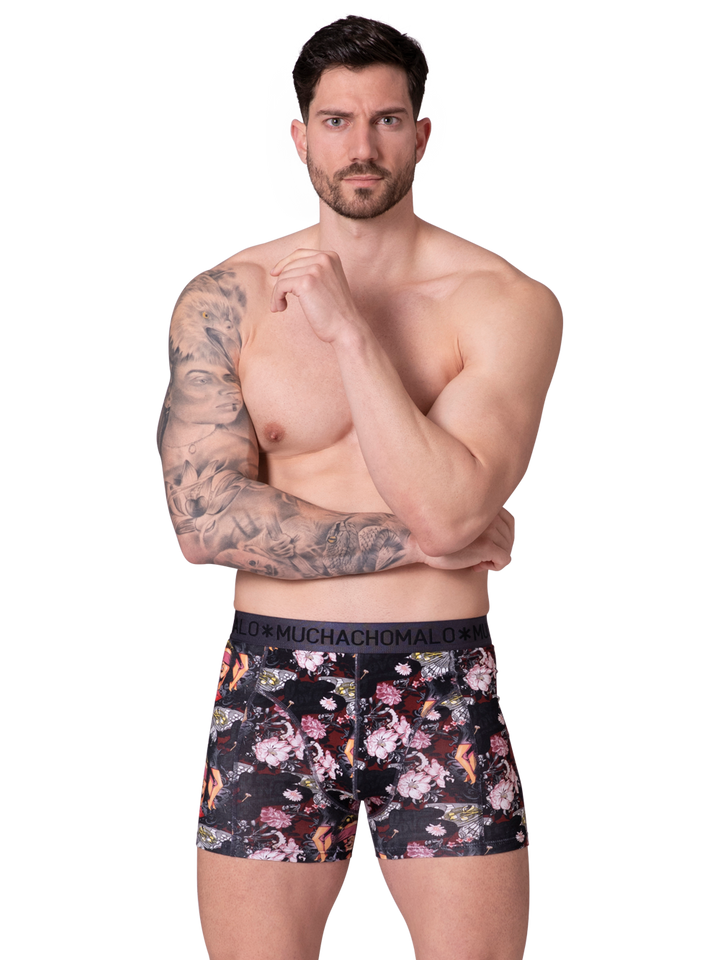2PK Boxer 1010