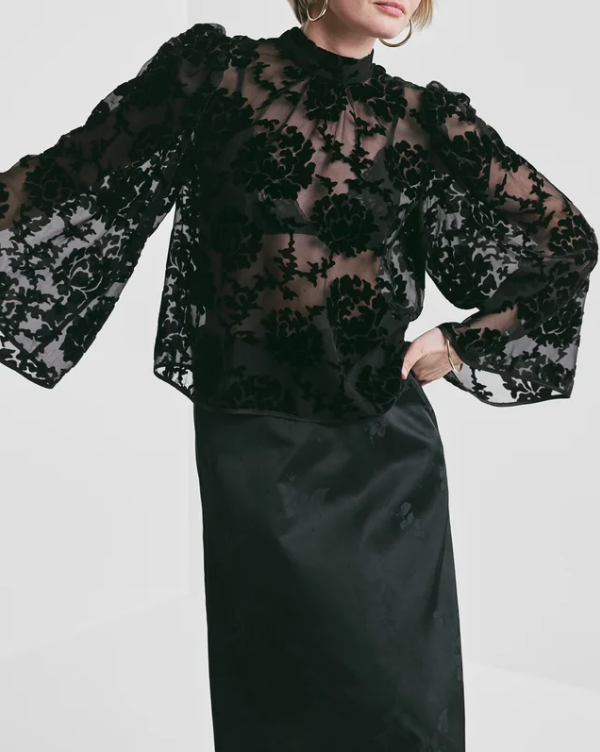 Velvet Blouse