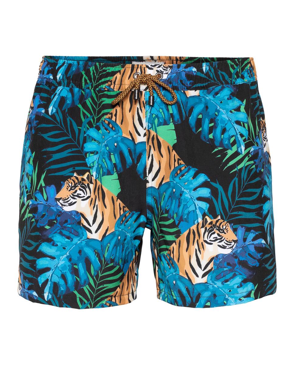 Roar Swim