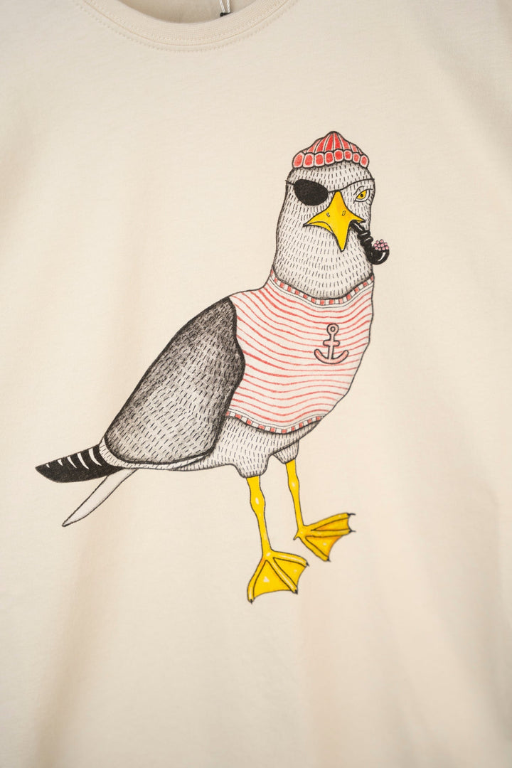 Seaborn Seagull