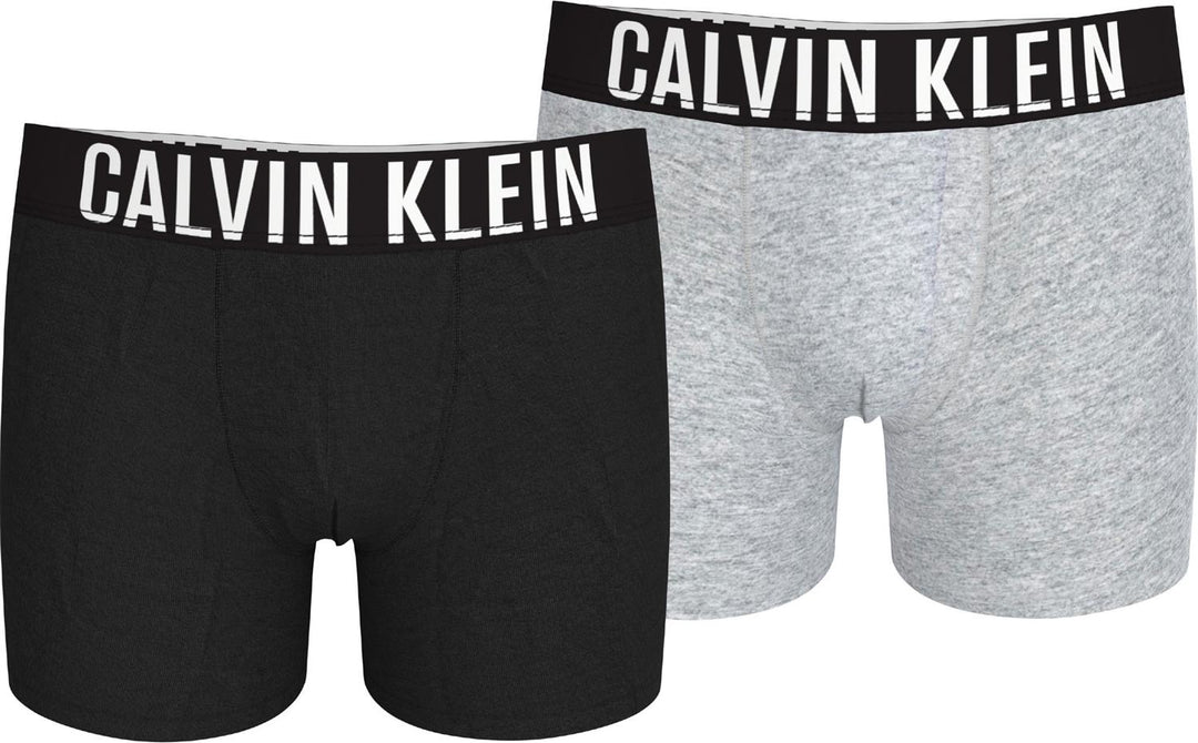 2pk Boxer Brief