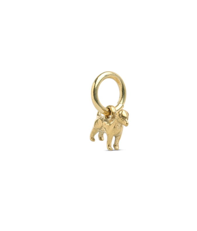 Roya - Dog Charm Stainless Steela