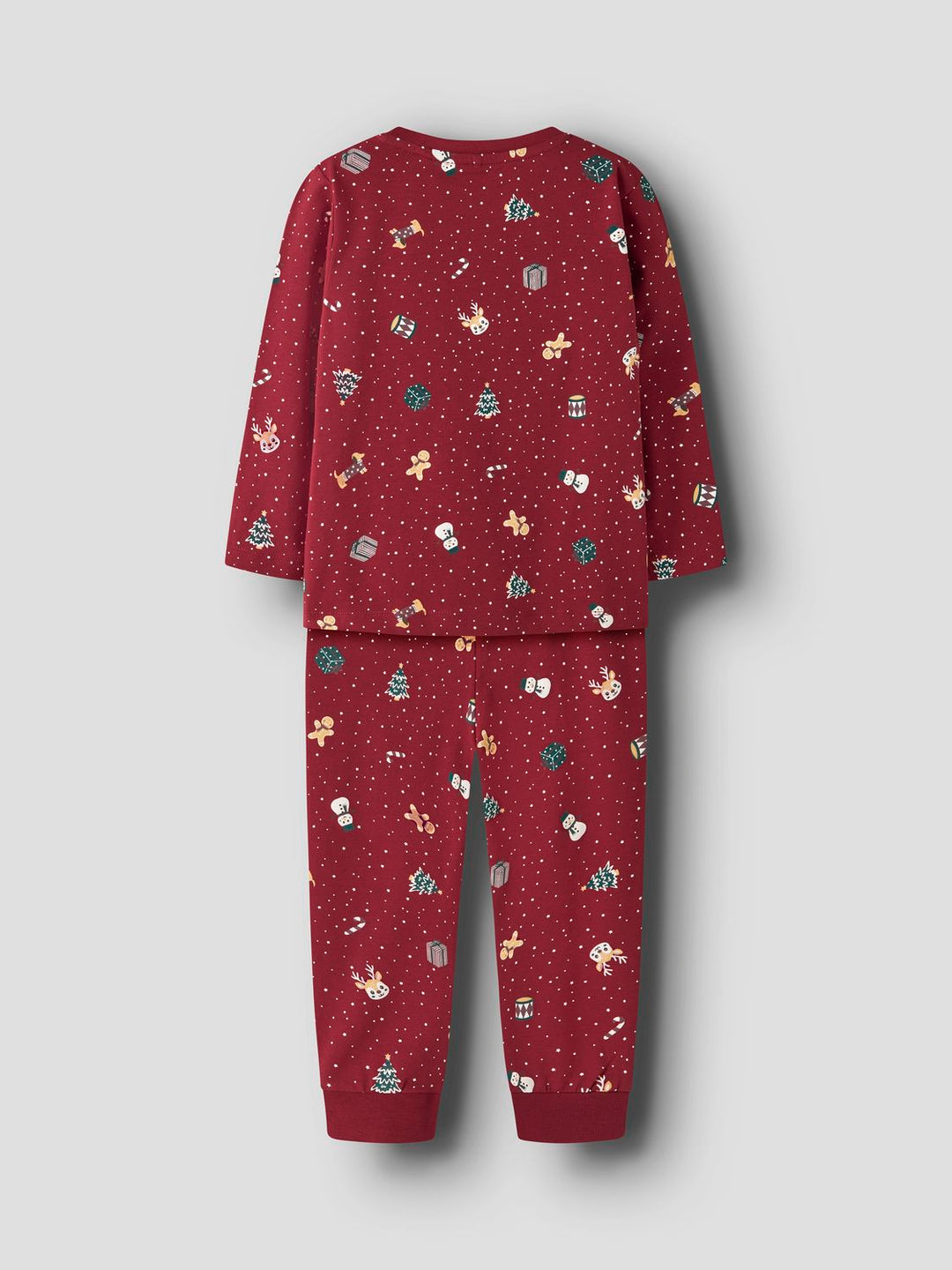 NMNVISMAS NATTPYSJ