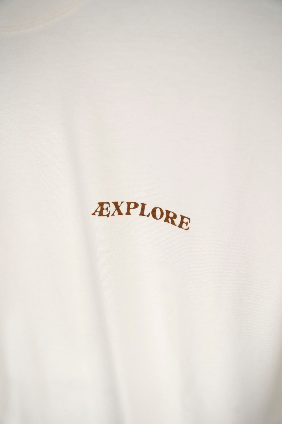 Beaver Burrito Boxfit Ls T-Shirt