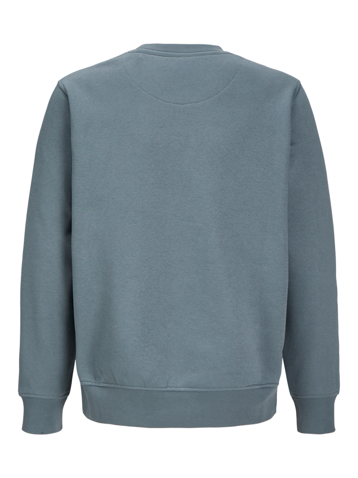 JORVESTERBRO SWEAT CREW NECK NOOS JNR