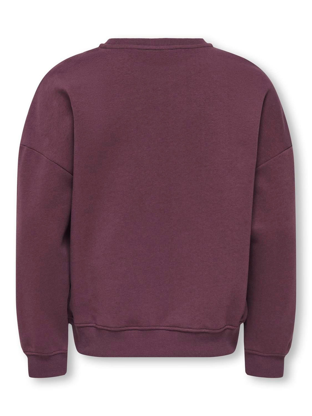 KOGBILA L/S OVZ PRINT O-NECK SWT NOOS