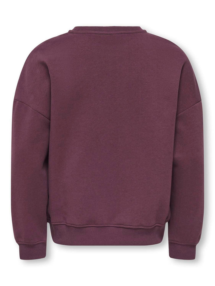 KOGBILA L/S OVZ PRINT O-NECK SWT NOOS