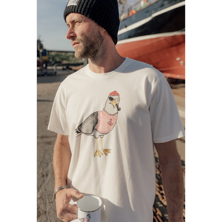 Seaborn Seagull