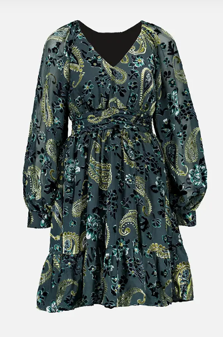 Fione Paisley