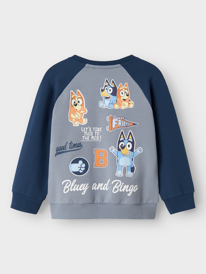 NMMSILAS BLUEY GENSER
