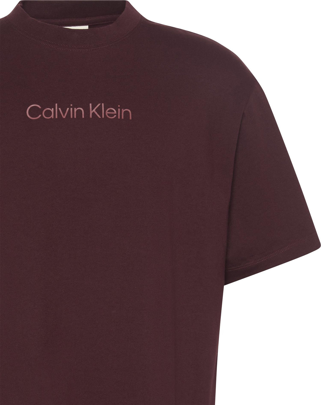 Ss Standard Logo 30s Crewnk Tee