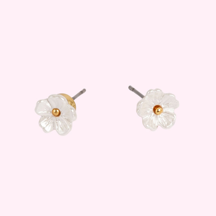 Små studs, Forget-me-not