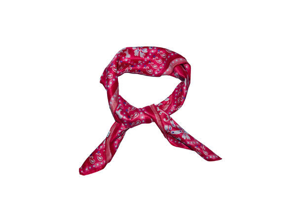 Skjerf paisley
