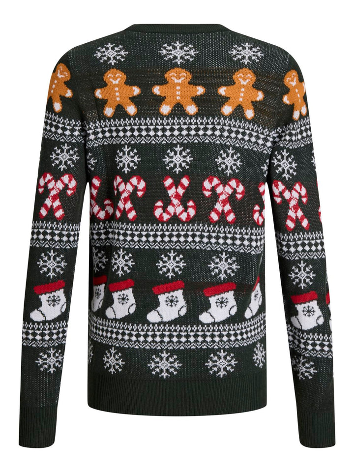 JJXMAS SANTA KNIT CREW NECK
