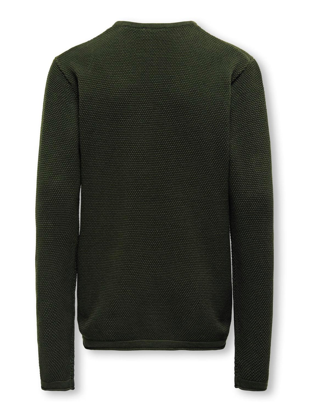 OSJPANTER REG CREW KNIT
