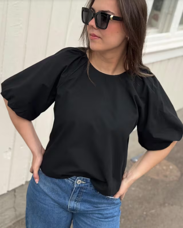 Lanisa