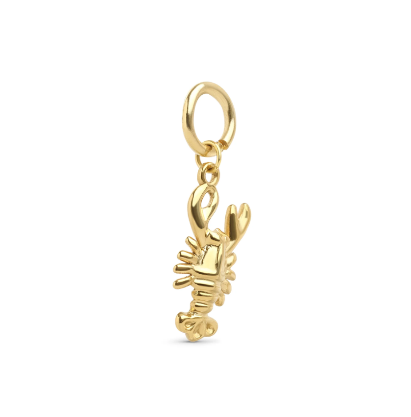 Cara - Lobster Charm Stainless Steel